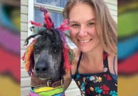 Ruff Cuts Pet Grooming
